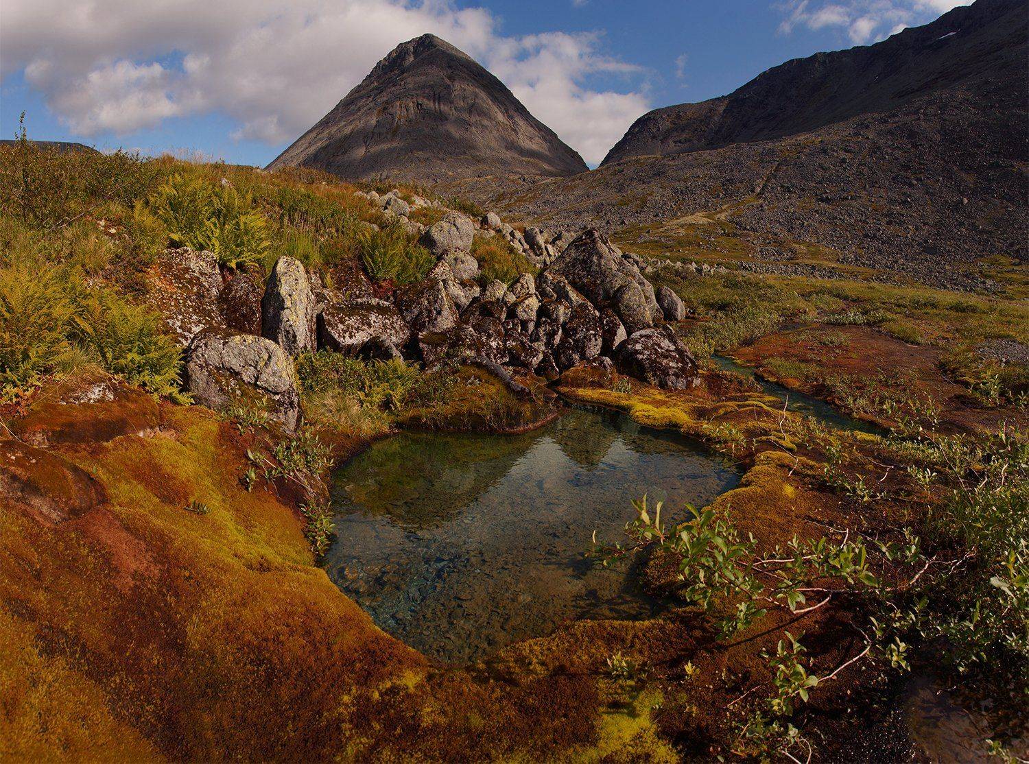 хибины, мурманская, область, Петр Косых