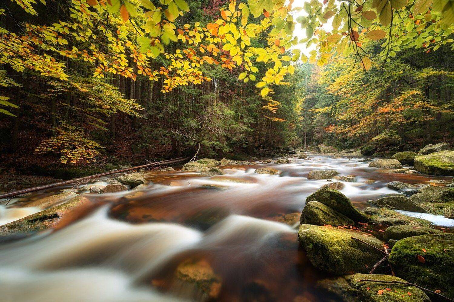 landscape,canon,waterfall,light,autumn, Iza i Darek Mitręga