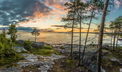 Жизнь на граните