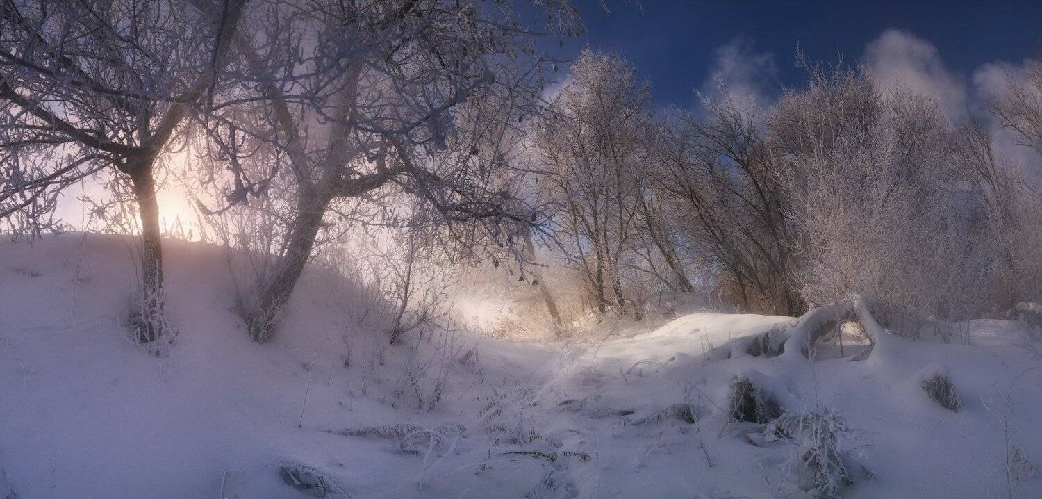 тула, Сергей Кочергин