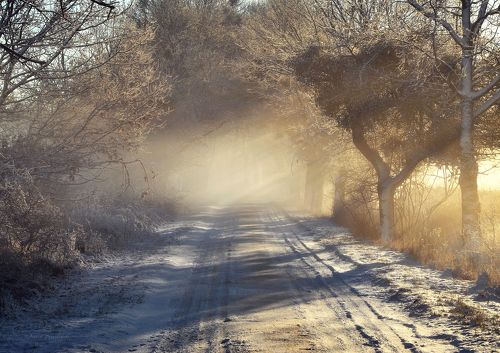The magic of the morning