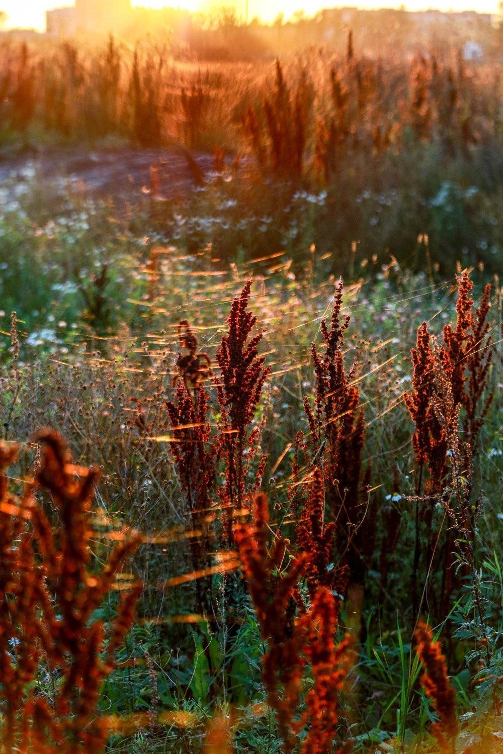 , Сергей Корнильев