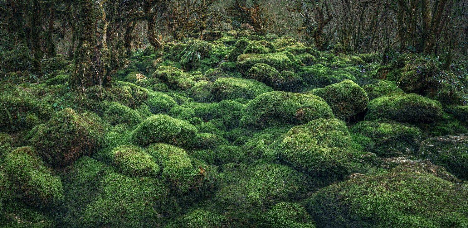 , Bessarion Chakhvadze