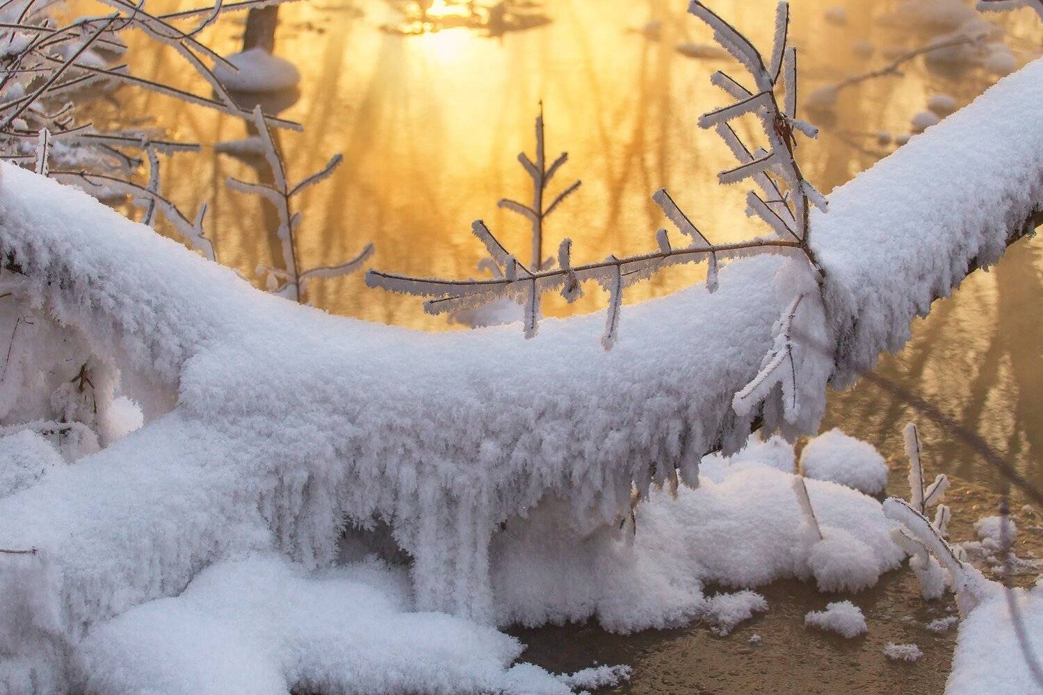 , Павел Сагайдак