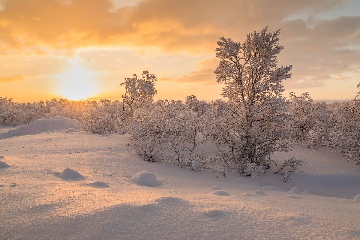 териберка, зима, море ,снег, зима, закат, Антон Петрусь