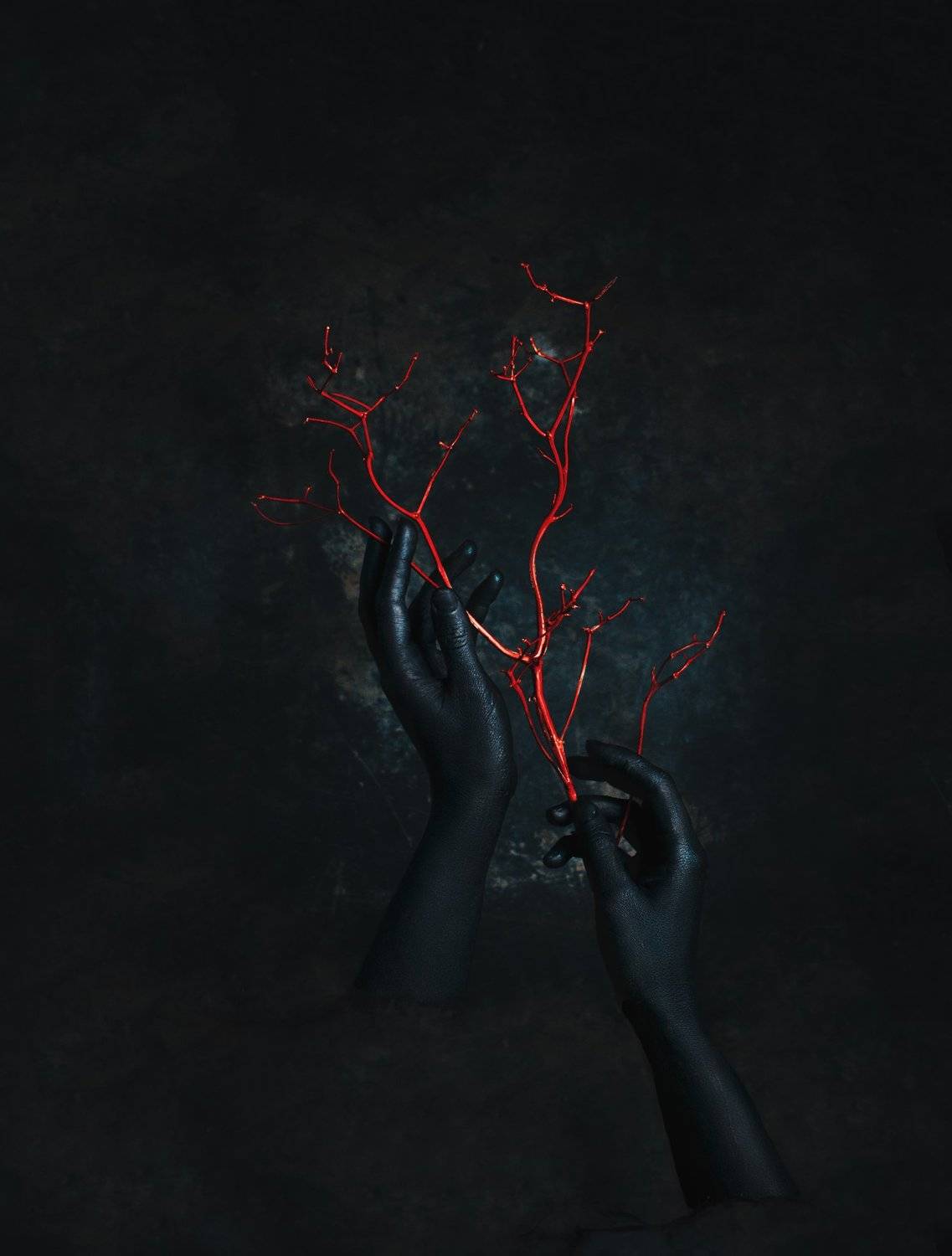 Руки, ветви, красный, черный, креативный, концепт, , Наталья Голубева