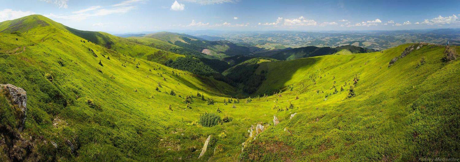 гори,  Карпати, полонина, сонце,  Карпаты, лес, Боржава, панорама, Алексей Медведев