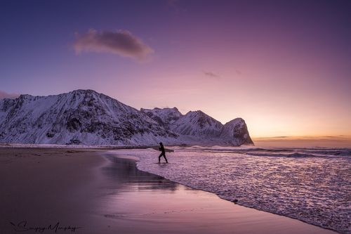 Arctic surfer. Lofotens. Norway.