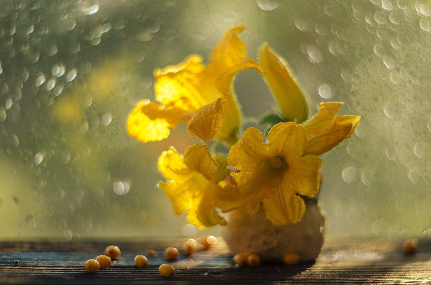 , Елена Вапняр