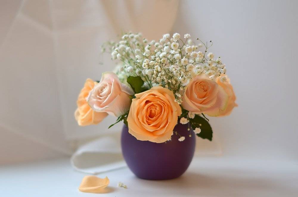 , Сильвана Спиридонова