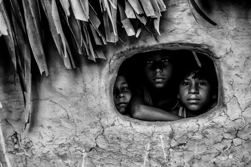 Slices of Life фото превью