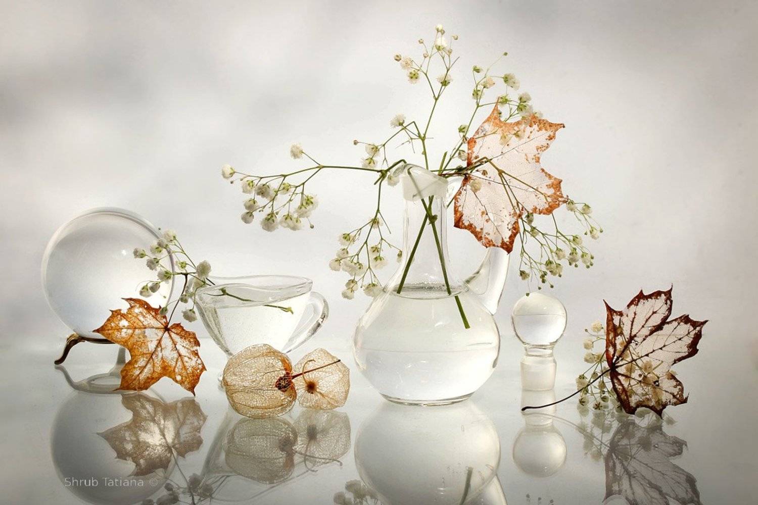 натюрморт, посуда, гипсофила, листья, Шруб (Беляева) Татьяна