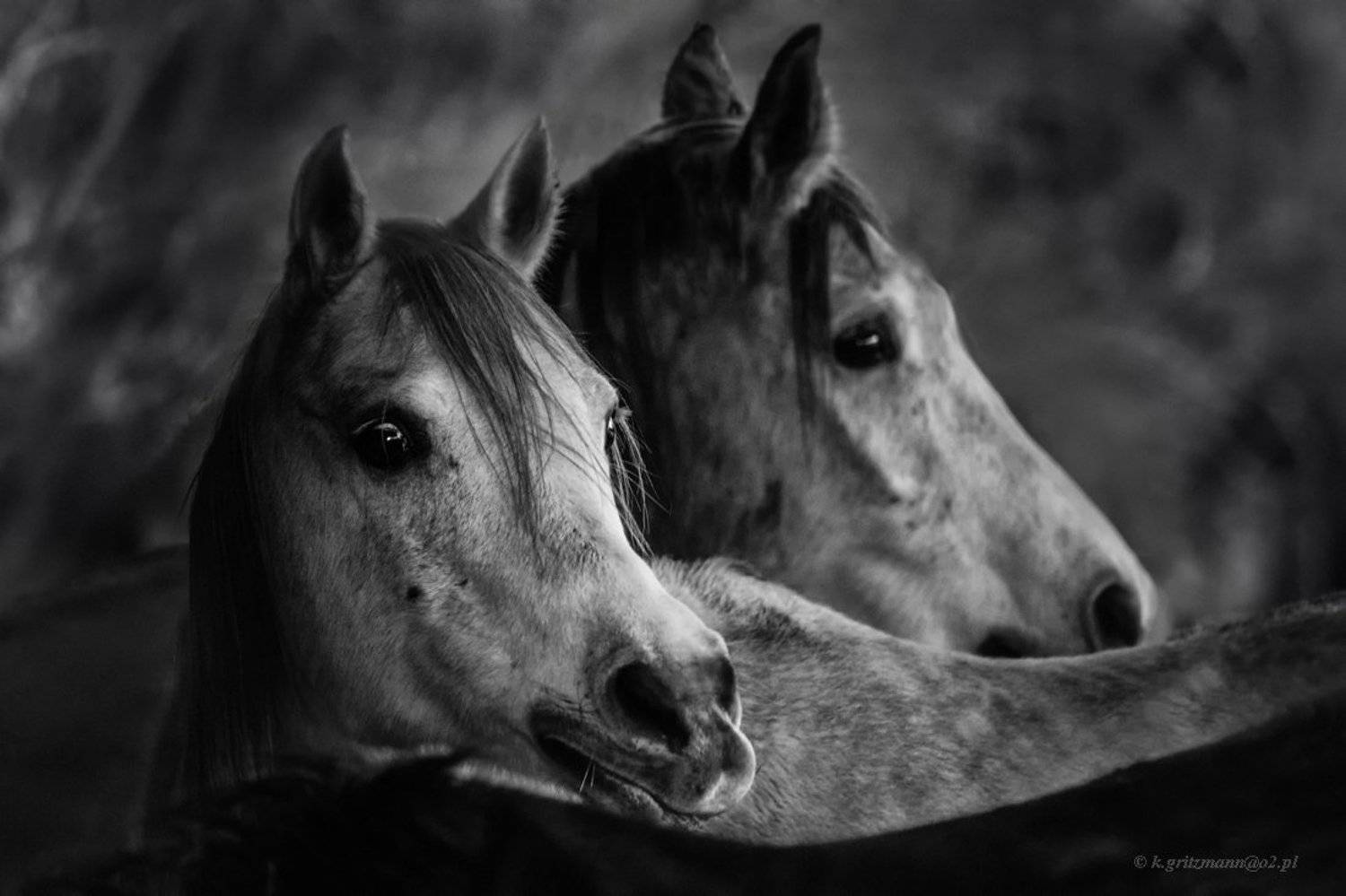 , Katarzyna Gritzmann