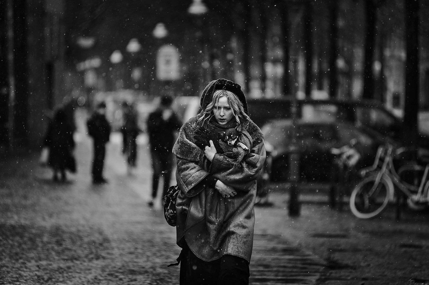 , Курта Аркадий