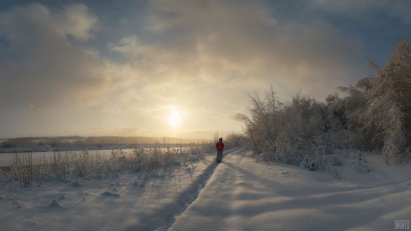 зима, закат, снег, облака, Прогулка фото превью