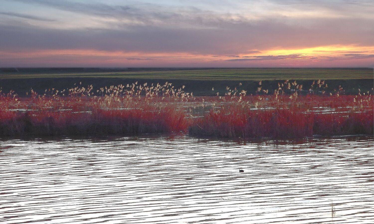 одесса, Сергей Кошелев