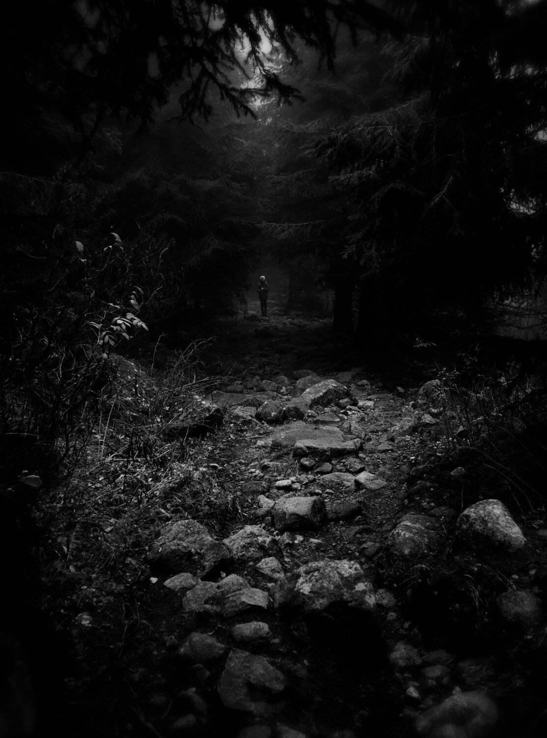 B/W, Edgars Gerskovics