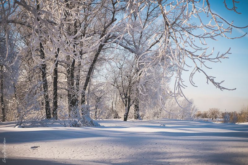 * * * фото превью