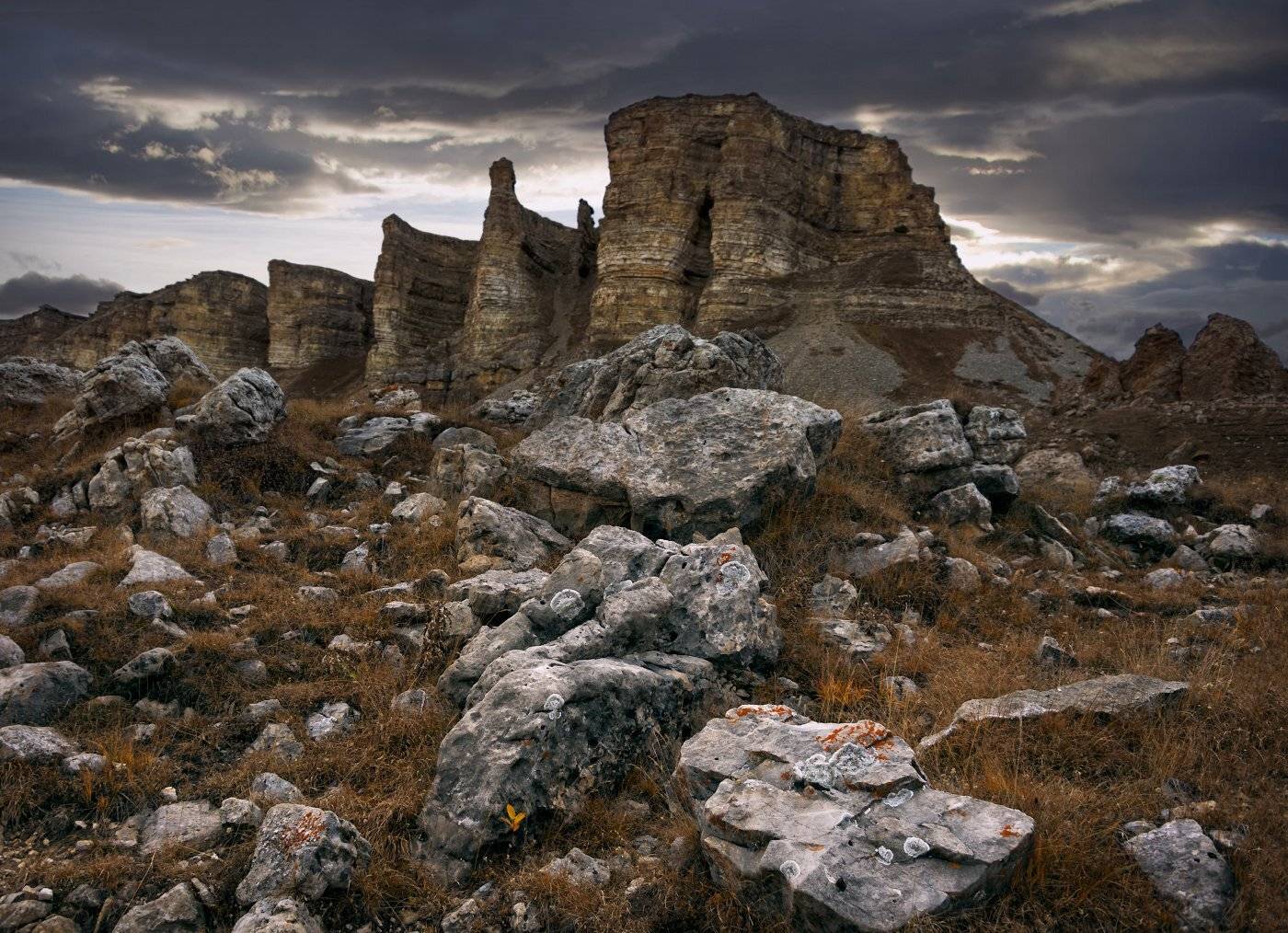 , Елена Брежицкая