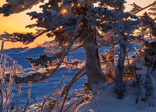 Pro розовое на синем...