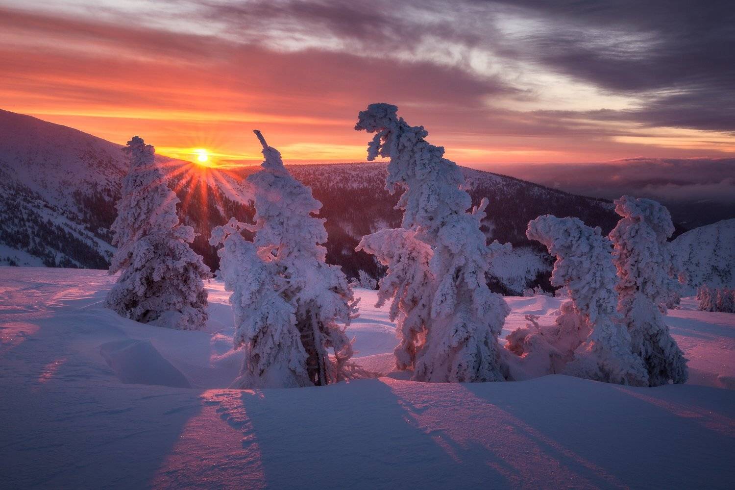 , Pawel Uchorczak