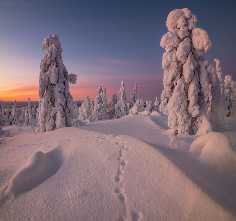 По следам фото превью