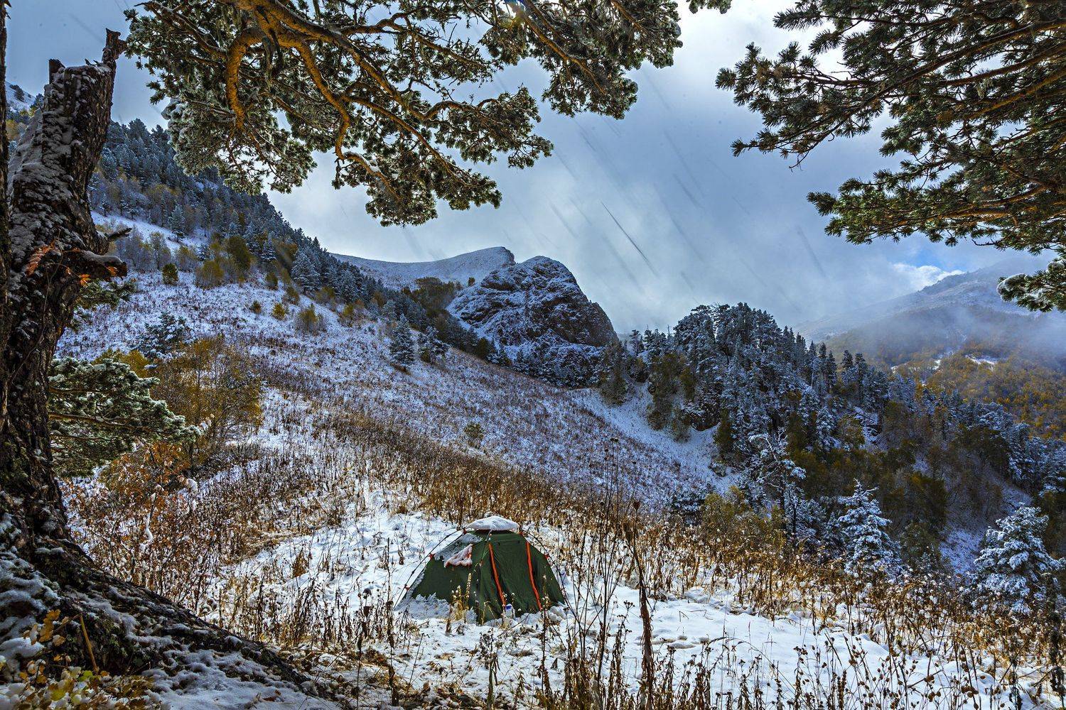 кавказ краснодар, Sergey Lexin