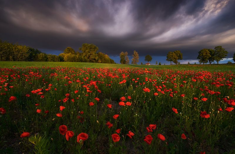 Stories фото превью