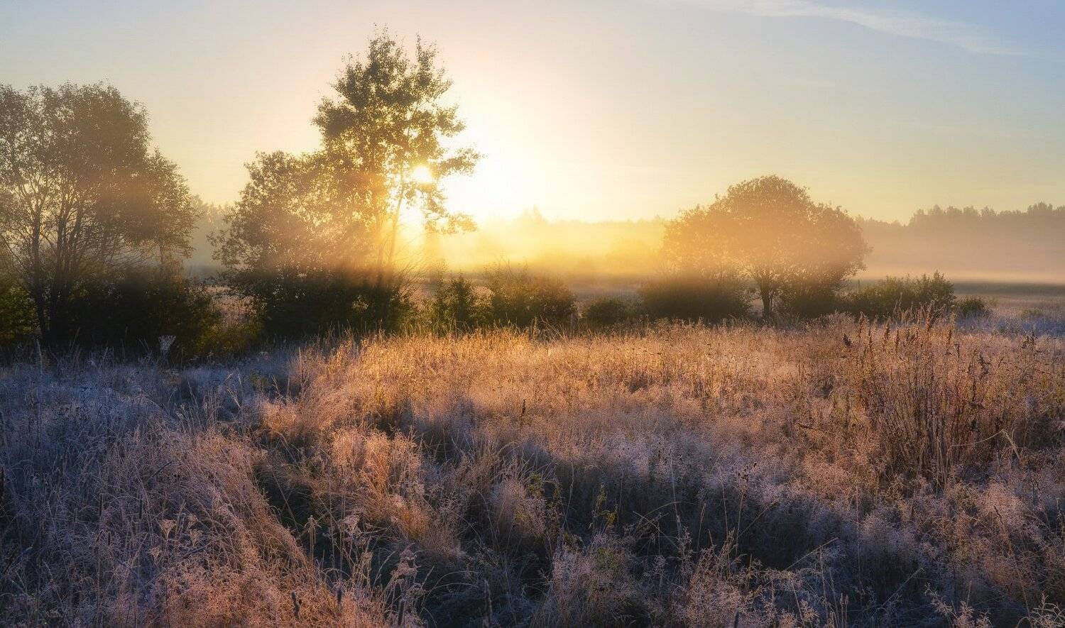 сентябрь, иней, тула, никольское, Сергей Кочергин
