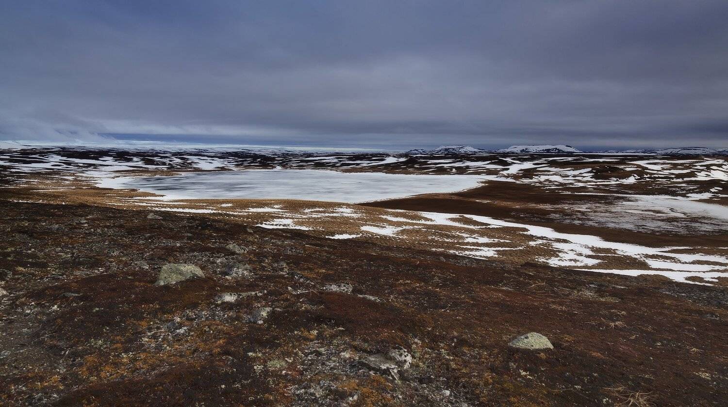 , Дмитрий Уткин