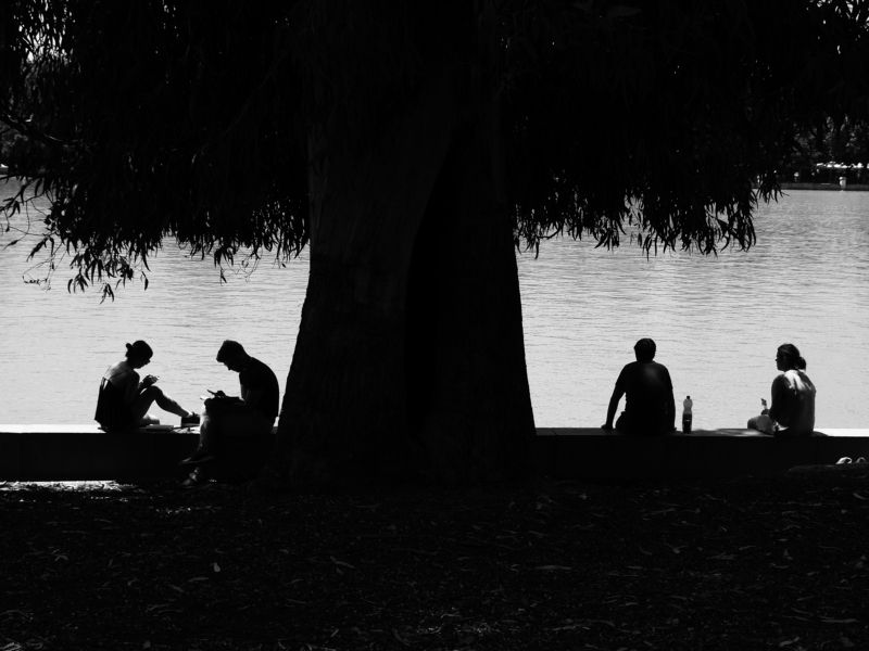 Retiro, Park, Madrid, Spain, Monochrome, Black and white, Street Together and apart фото превью