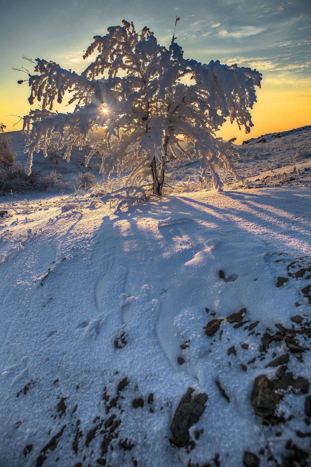 орск оренбургская обл. качурин новотроицк южный урал, Качурин Алексей