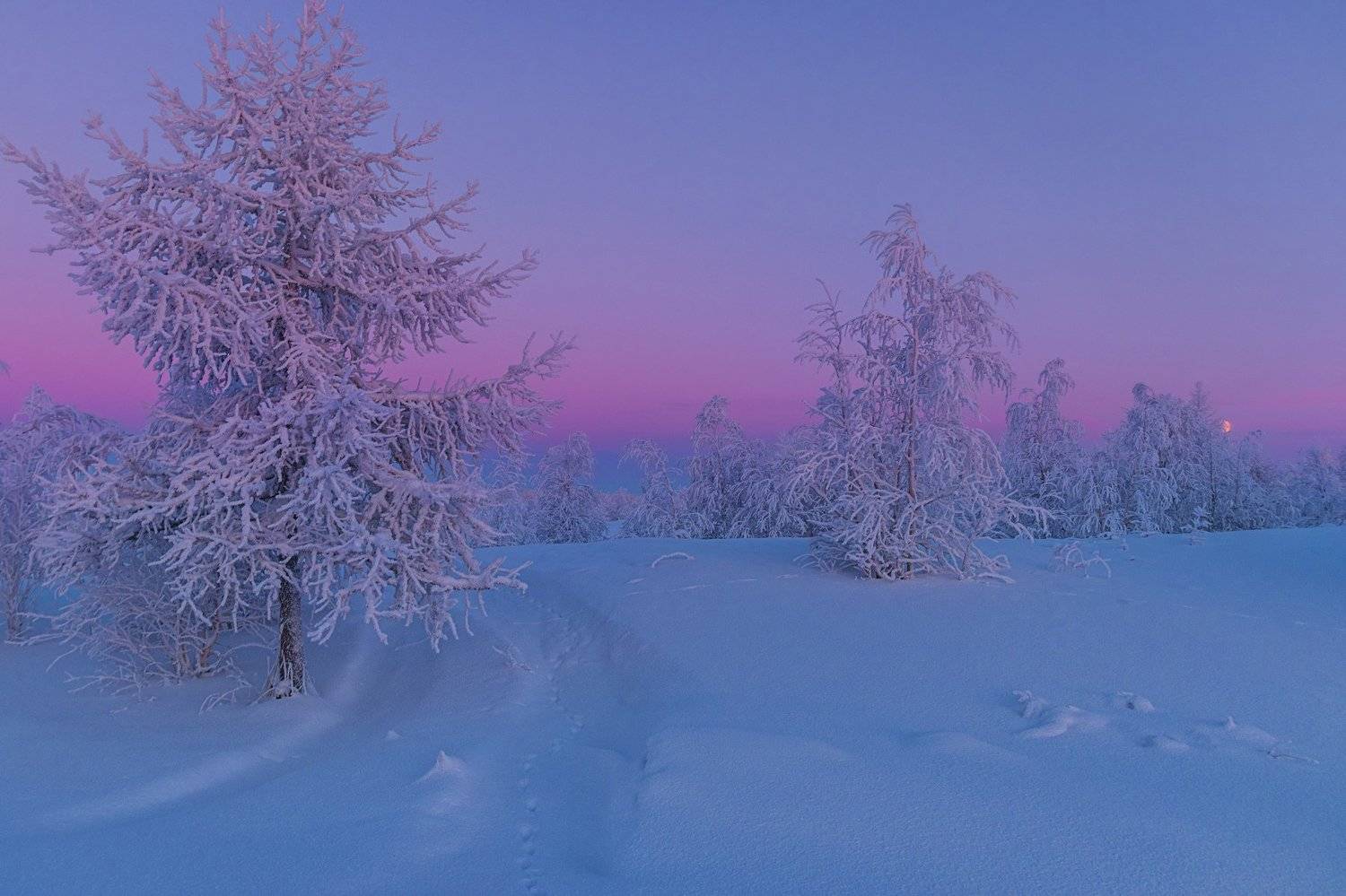 ямал , зима , природа, салехард ,  ямал ,север, Настя Братка