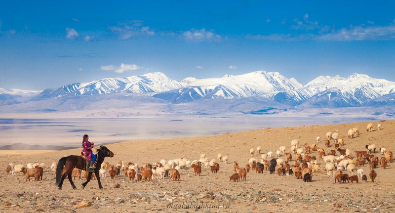 монголия, кочевье Дух свободы! фото превью