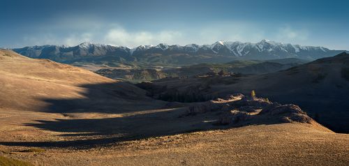 Длинные тени Курая