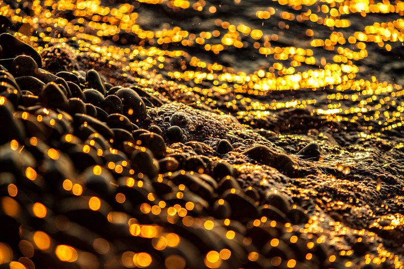 Золото Байкала фото превью