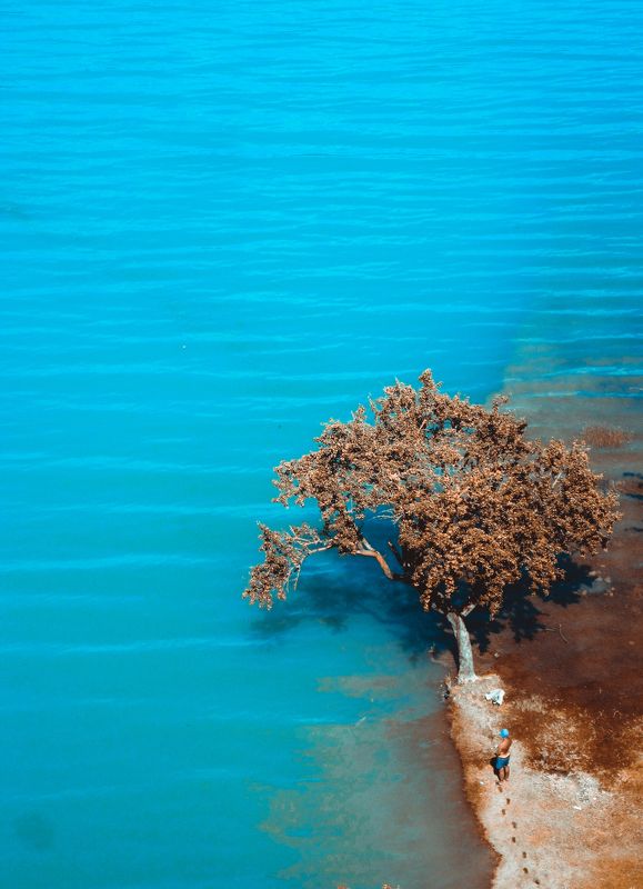 . фото превью