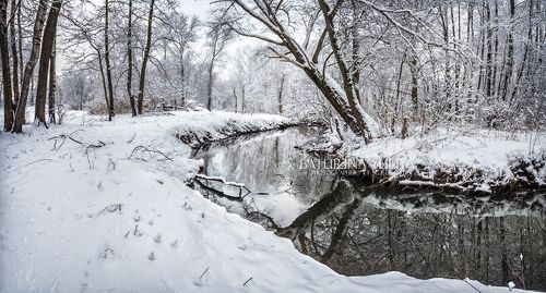 Река в зимнем парке