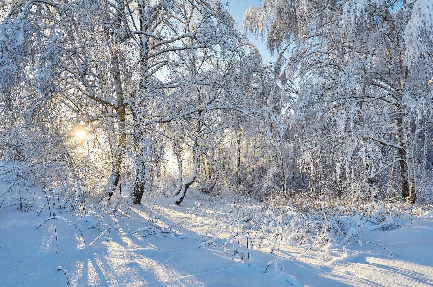 , Бурцев Дмитрий