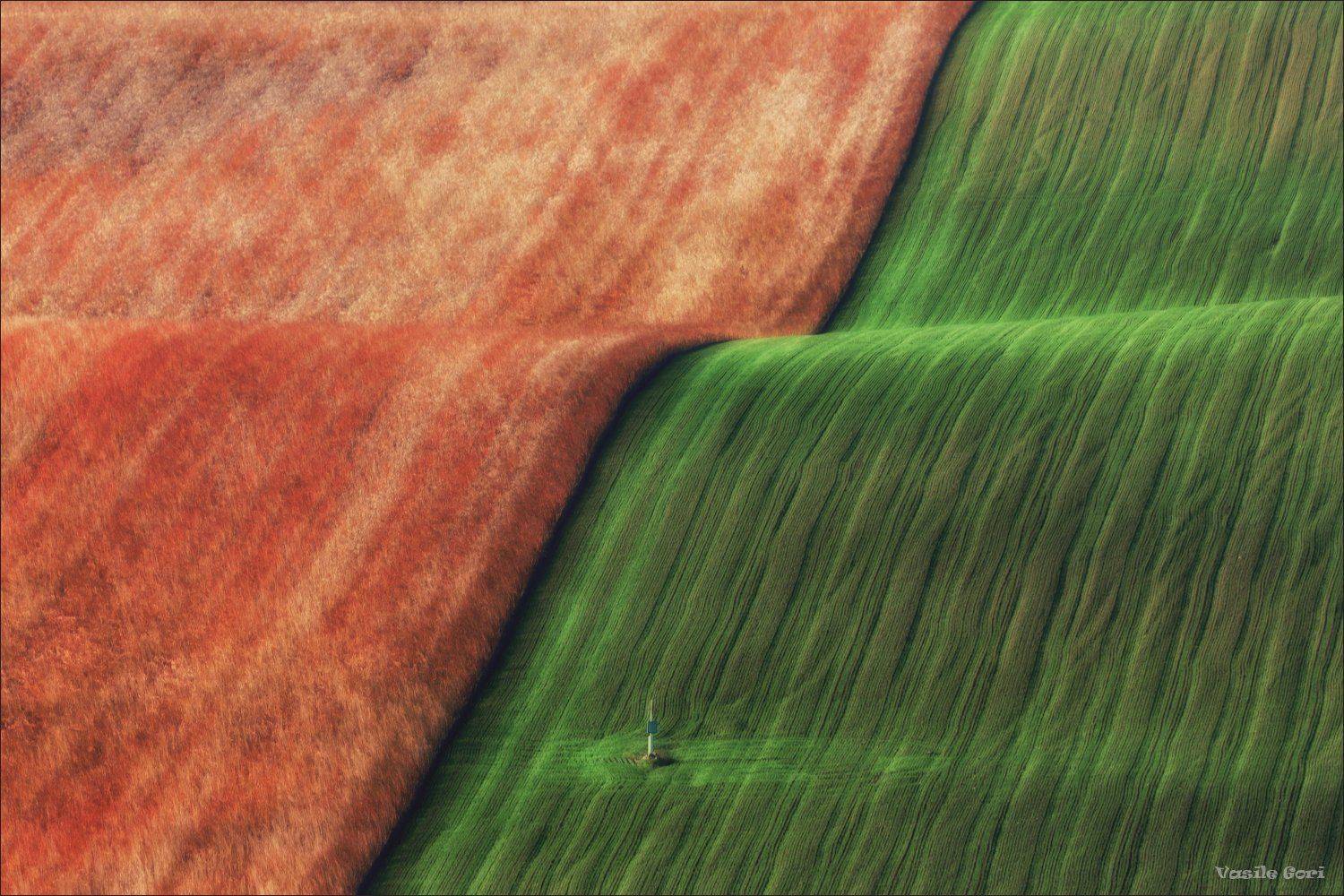 южная моравия,hils,линии,south moravian,волны,lines,свет,czech,осень,чехия,landscapes,минимализм., Василий Гори