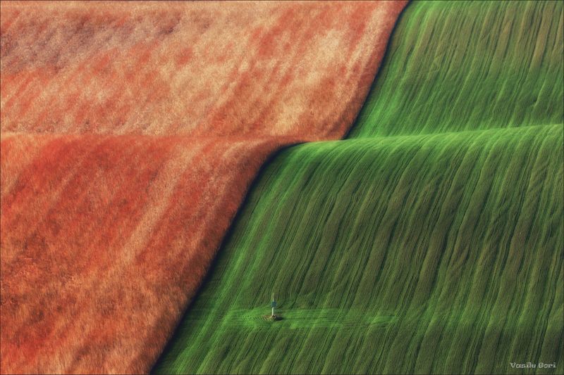 южная моравия,hils,линии,south moravian,волны,lines,свет,czech,осень,чехия,landscapes,минимализм. Осенняя ткань. фото превью