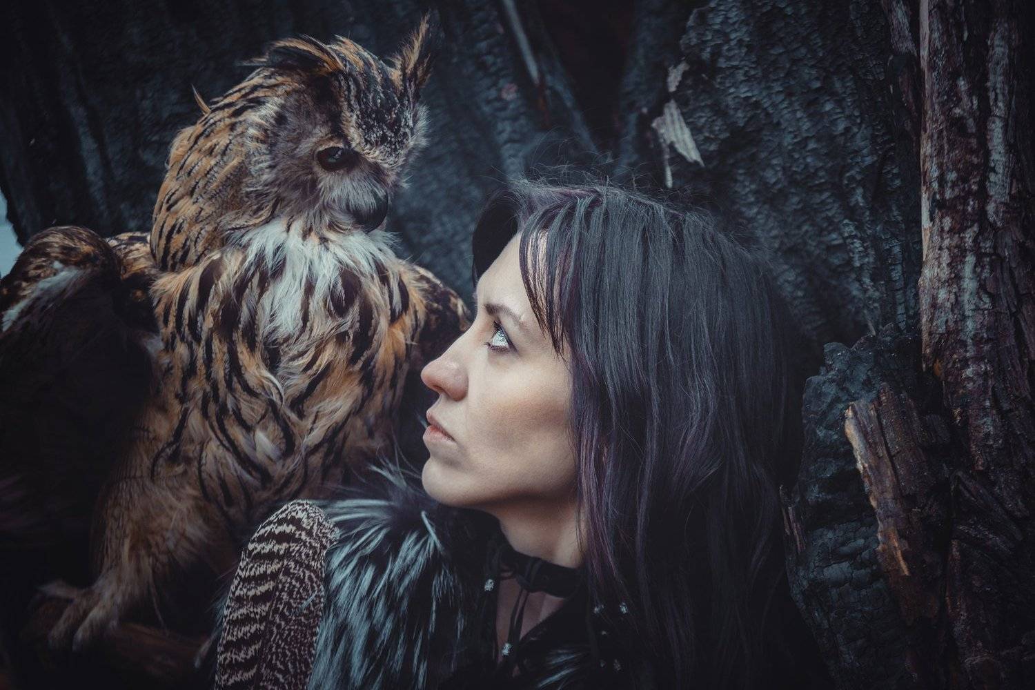 филин, сова, девушка, мех, взгляд, дерево, угли, горелое, перо, Игорь Сидорук