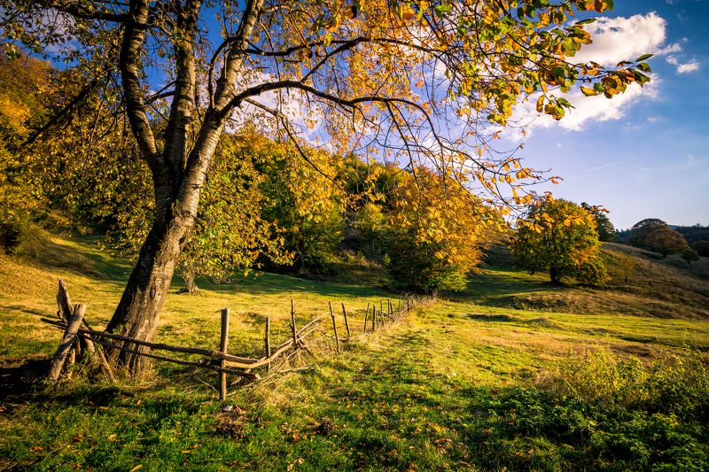 sony a6000,sigma 10-20 Родопа планина фото превью