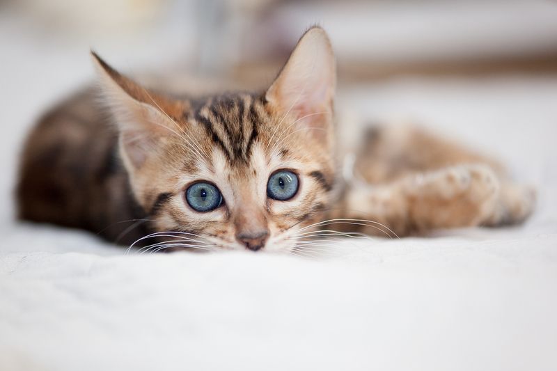 mr.filler Мечтатель :) фото превью