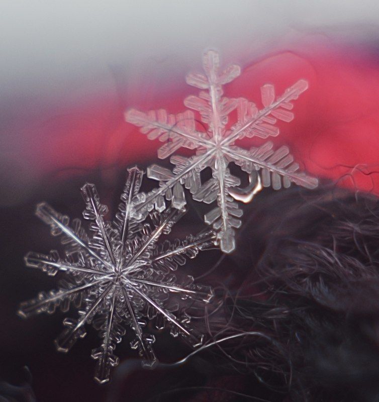 Парочка фото превью