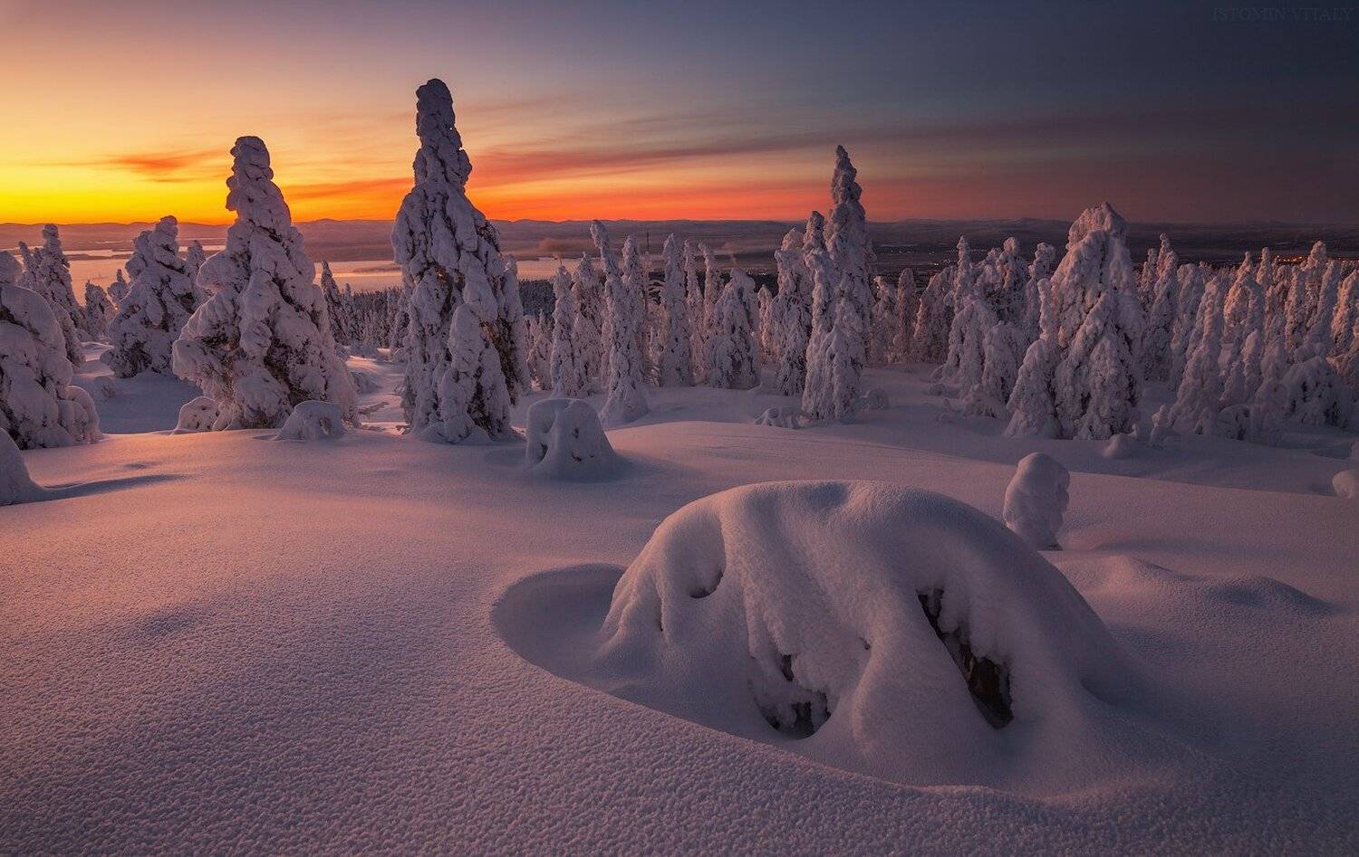 пейзаж,закат,свет,пейзаж,россия,закат,зима,цвет,лес, Виталий Истомин