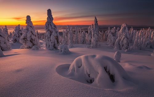 На сопках Кандалакши
