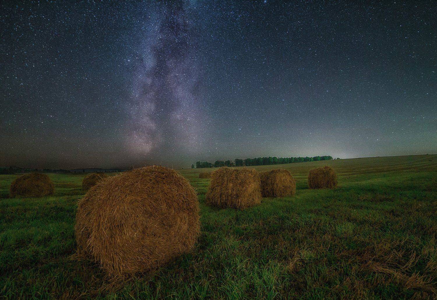 ночь, звезды, млечный путь, пейзаж, поле, Артемий Тузов