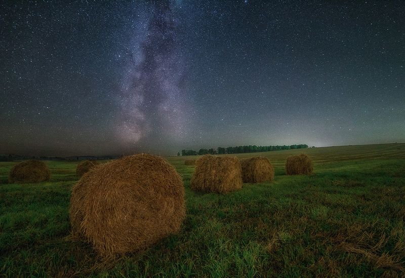ночь, звезды, млечный путь, пейзаж, поле Вспоминая сентябрь фото превью