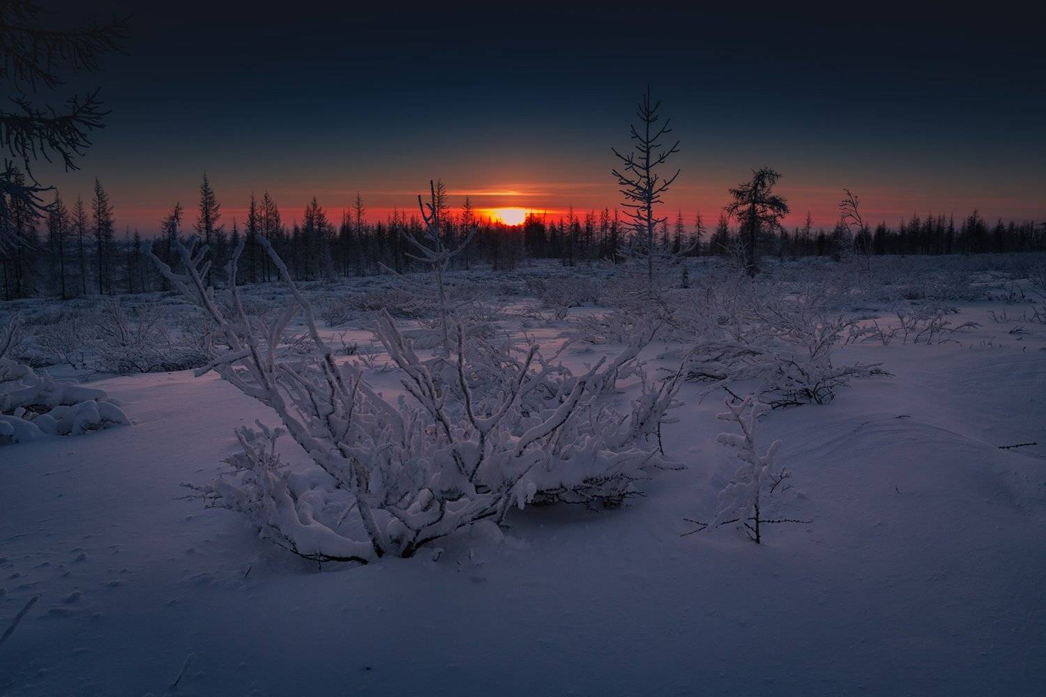 , Евгений Кужилев